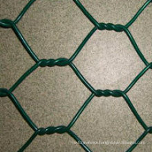 PVC Coated Hexagonal Wire Netting with High Quality